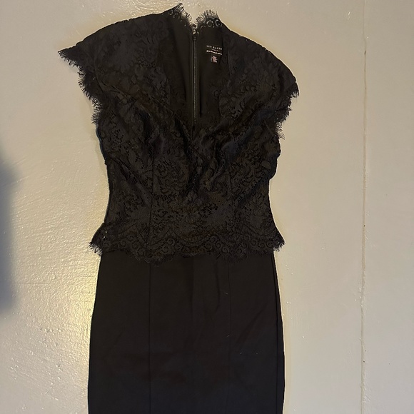Ted Baker - Sarvani Lace Overlay Top Sheath - SZ 2 - Picture 7 of 8